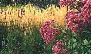 9169 units available! Pre-Order Qty: 0