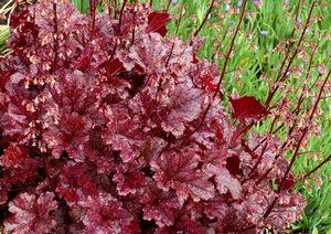 33 units available! Pre-Order Qty: 0