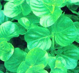 248 units available! Pre-Order Qty: 0