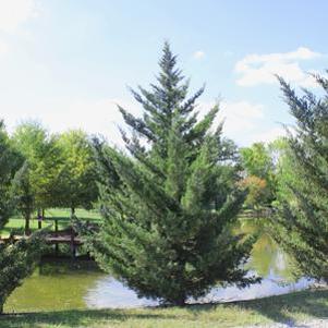 0 units available! Pre-Order Qty: 0