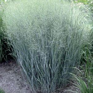 19 units available! Pre-Order Qty: 0