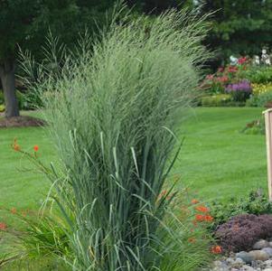 31 units available! Pre-Order Qty: 0