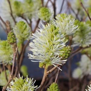 8 units available! Pre-Order Qty: 0