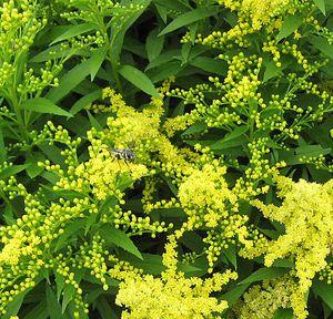 8 units available! Pre-Order Qty: 232