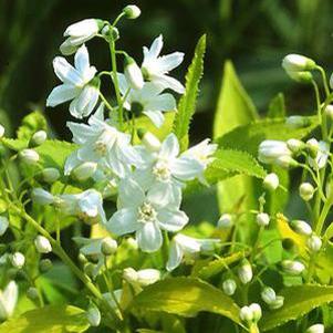 1654 units available! Pre-Order Qty: 0