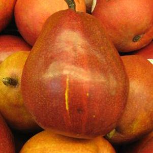 0 units available! Pre-Order Qty: 0