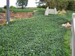 2492 units available! Pre-Order Qty: 0