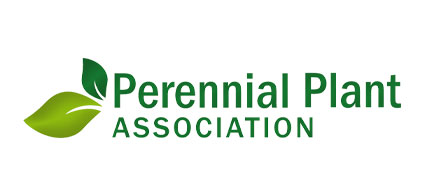 Perennial Plant of the Year