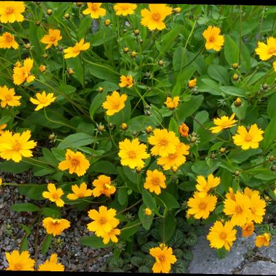 Test Image Three