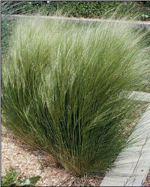 Image Property of Sooner Plant Farm, Inc.