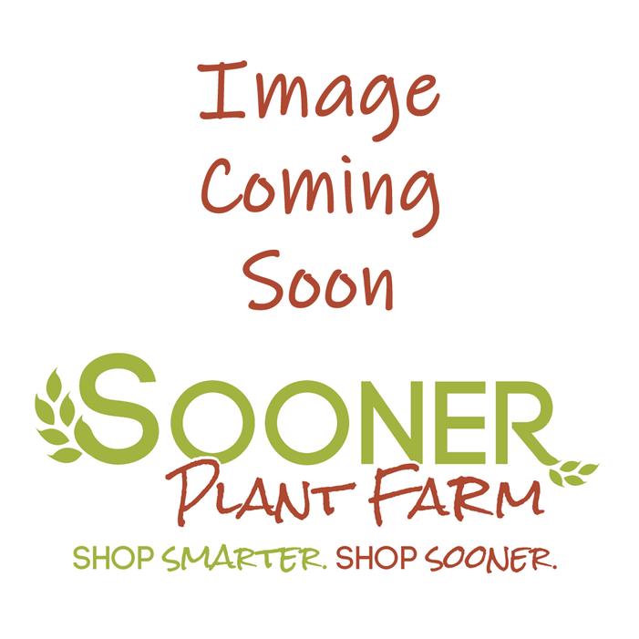 Image Property of Sooner Plant Farm, Inc.