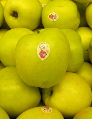 GOLDEN DELICIOUS APPLE