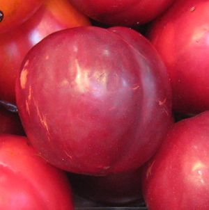 SATSUMA PLUM