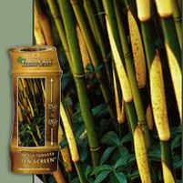 GREEN SCREEN BAMBOO