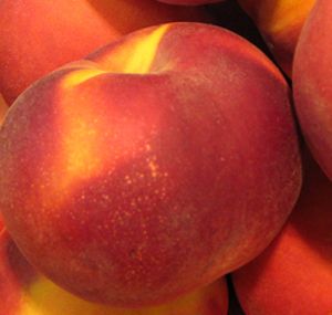 SUNGLO NECTARINE