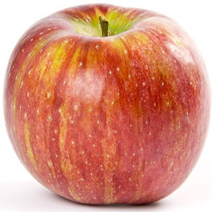 CORTLAND APPLE