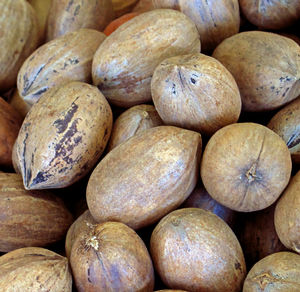 BARTON PECAN