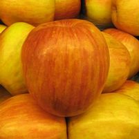 FUJI APPLE