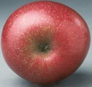 JOHNNY RED APPLE