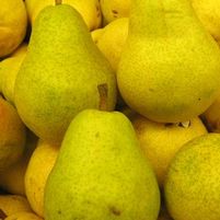 BARTLETT PEAR