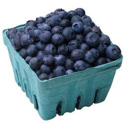 BLUEJAY BLUEBERRY