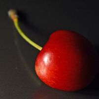 BLACK TARTARIAN SWEET CHERRY