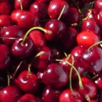 BING SWEET CHERRY