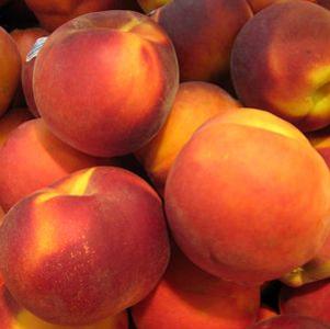 SUNGLO NECTARINE