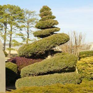SPIRAL HETZI COLUMN JUNIPER