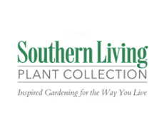 Southern Living Collection