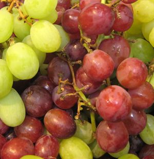 CONCORD SEEDLESS GRAPE
