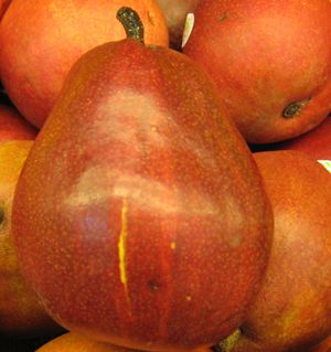 RED BARTLETT PEAR