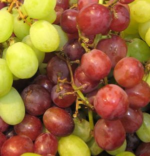 NEPTUNE SEEDLESS GRAPE