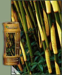 0 units available! Pre-Order Qty: 0