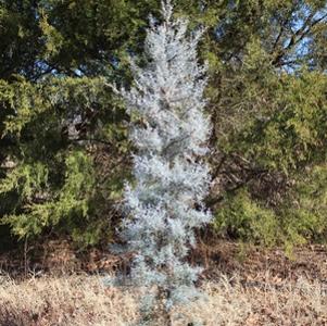 0 units available! Pre-Order Qty: 0