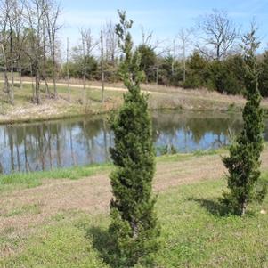 0 units available! Pre-Order Qty: 0