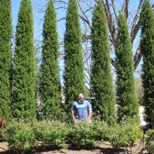 463 units available! Pre-Order Qty: 0