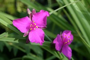 0 units available! Pre-Order Qty: 0