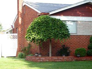 54 units available! Pre-Order Qty: 0