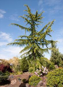 0 units available! Pre-Order Qty: 0