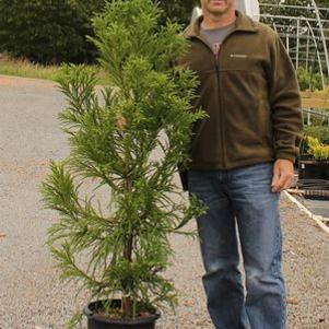 0 units available! Pre-Order Qty: 0