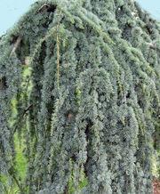 2 units available! Pre-Order Qty: 8