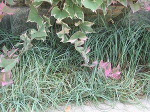 0 units available! Pre-Order Qty: 0