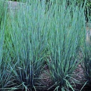 1359 units available! Pre-Order Qty: 0