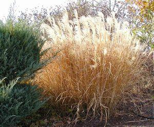 3377 units available! Pre-Order Qty: 0