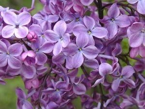 0 units available! Pre-Order Qty: 0