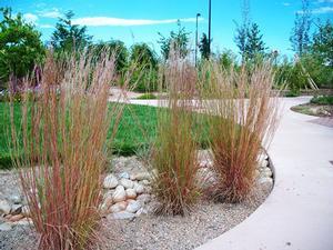 0 units available! Pre-Order Qty: 0