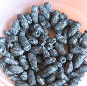 0 units available! Pre-Order Qty: 0