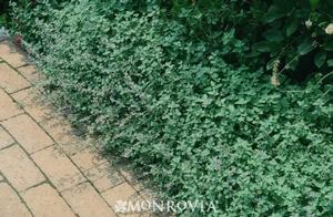 0 units available! Pre-Order Qty: 0