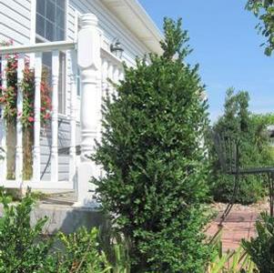 1 units available! Pre-Order Qty: 0